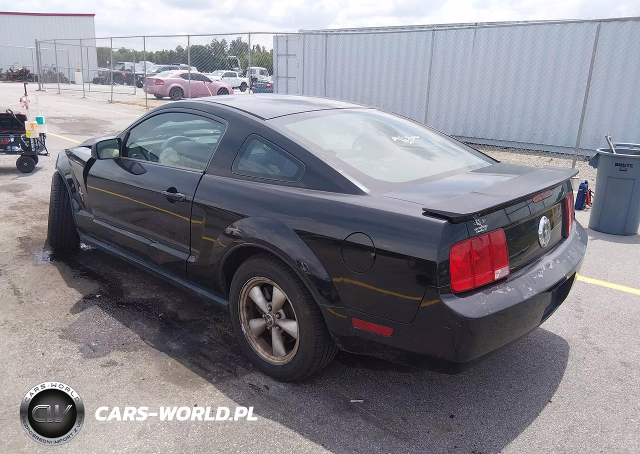 2008 Ford Mustang V6 Deluxe-V6 Premium VIN:1ZVHT80N985132190 - 3