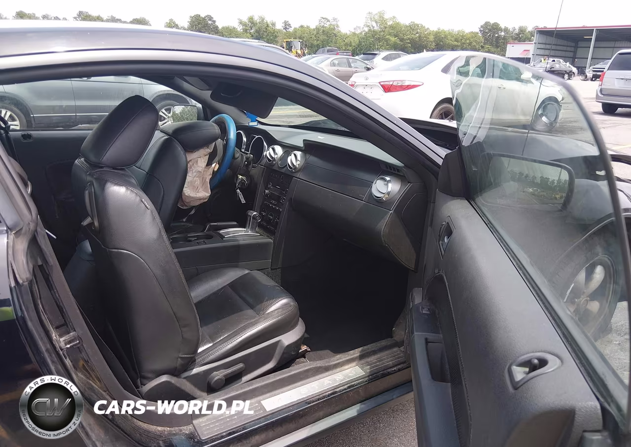 2008 Ford Mustang V6 Deluxe-V6 Premium VIN:1ZVHT80N985132190 - 5
