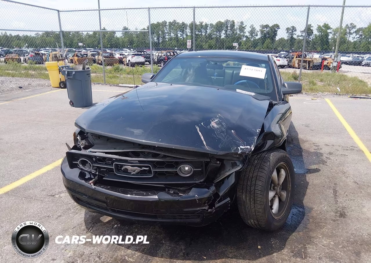 2008 Ford Mustang V6 Deluxe-V6 Premium VIN:1ZVHT80N985132190 - 6