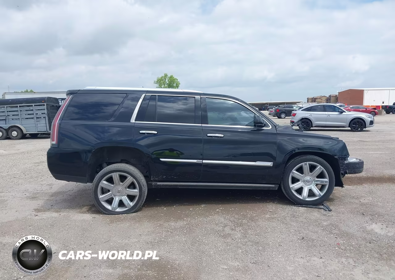 2015 Cadillac Escalade Premium VIN:1GYS4CKJ2FR153532 - 13