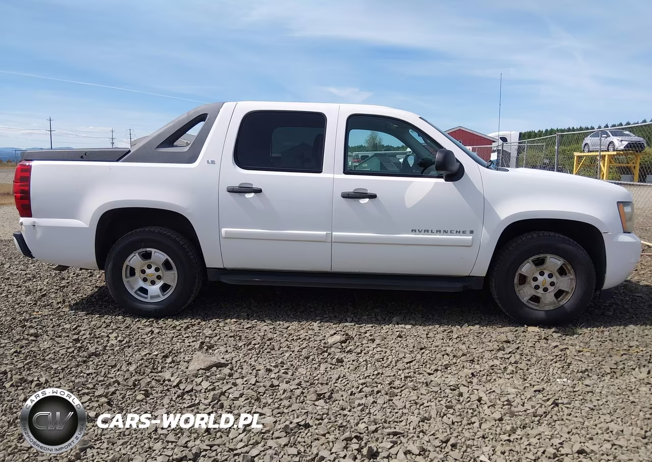2009 Chevrolet Avalanche K1500 Ls VIN:3GNFK12089G161428 - 19