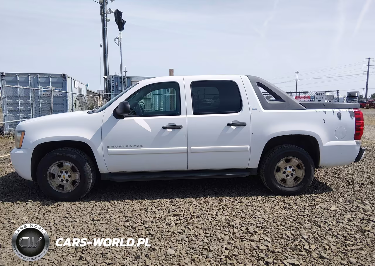 2009 Chevrolet Avalanche K1500 Ls VIN:3GNFK12089G161428 - 20