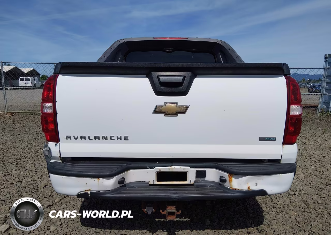 2009 Chevrolet Avalanche K1500 Ls VIN:3GNFK12089G161428 - 22
