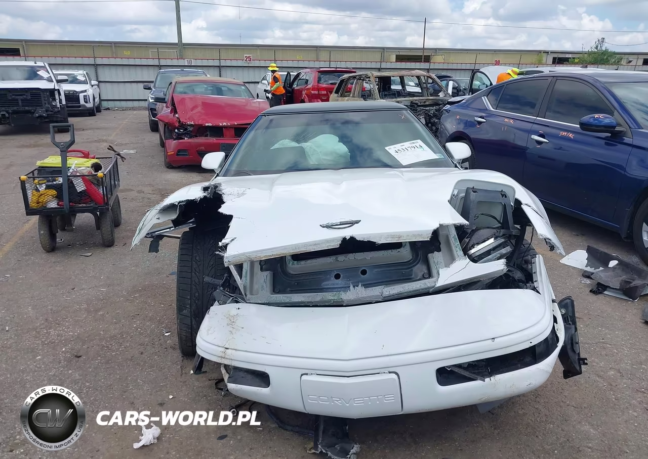 1994 Chevrolet Corvette VIN:1G1YY22P3R5113287 - 12