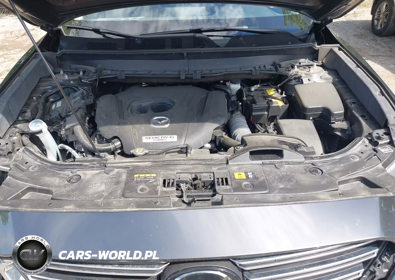 2023 Mazda Cx-9 Touring VIN:JM3TCBCY9P0658435 - 10