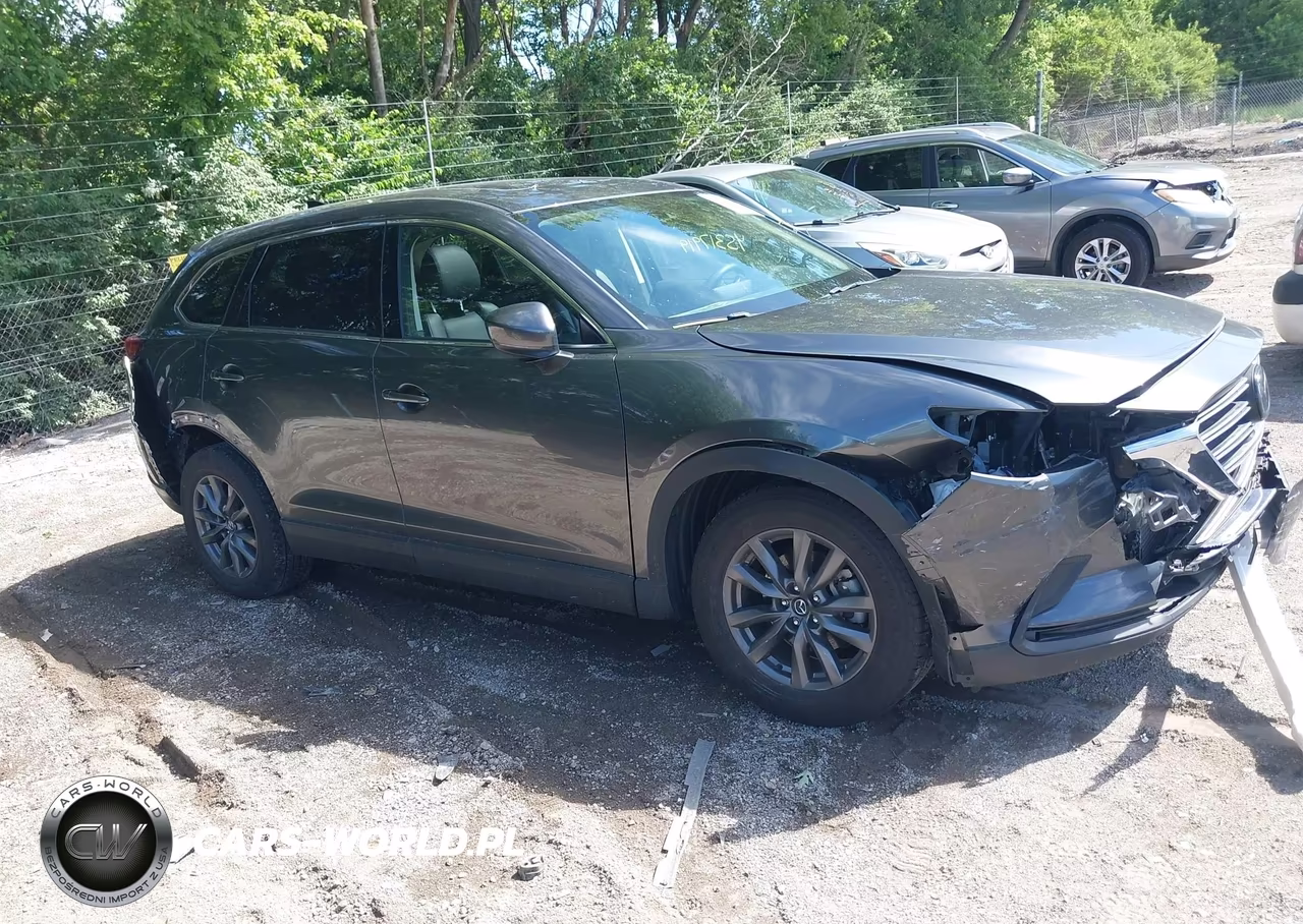 2023 Mazda Cx-9 Touring VIN:JM3TCBCY9P0658435 - 13