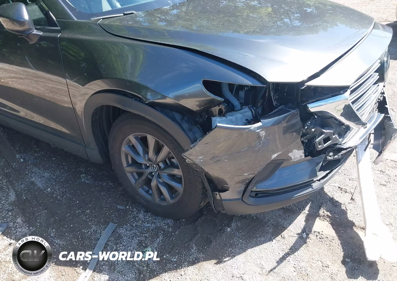 2023 Mazda Cx-9 Touring VIN:JM3TCBCY9P0658435 - 17