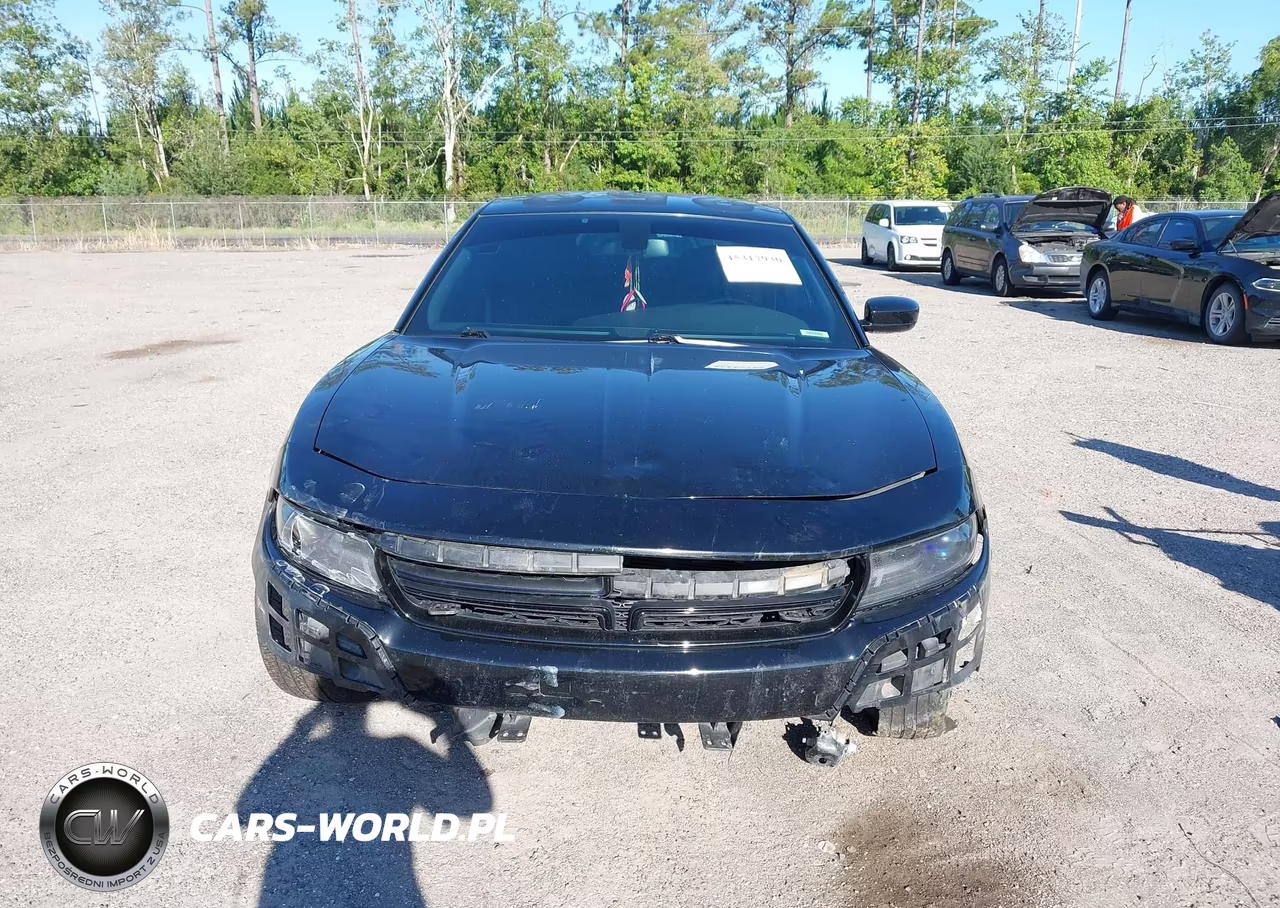 2015 Dodge Charger Police VIN:2C3CDXAT4FH841296 - 12