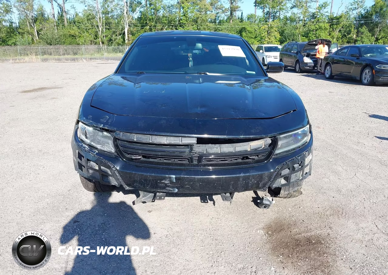 2015 Dodge Charger Police VIN:2C3CDXAT4FH841296 - 6