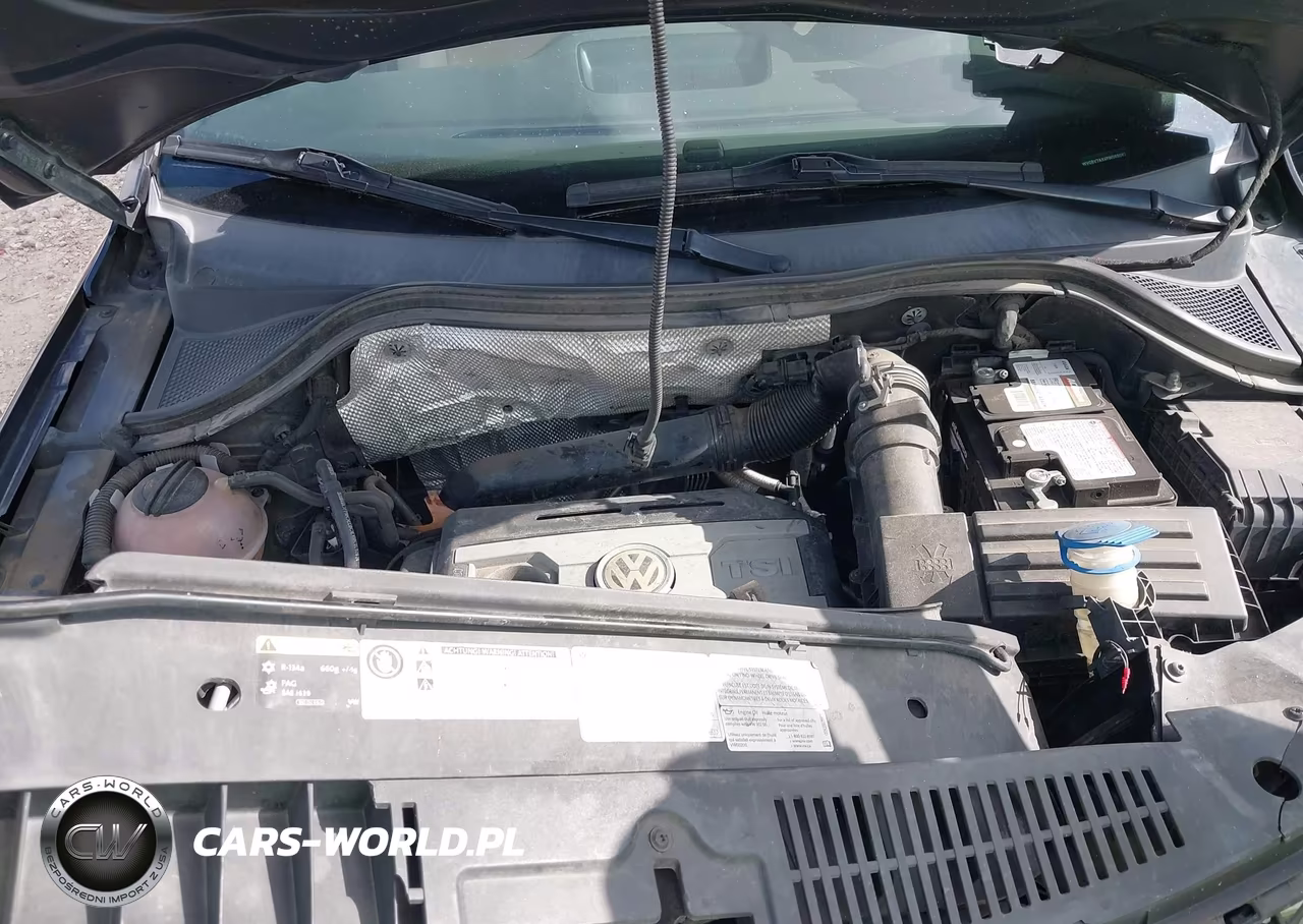 2015 Volkswagen Tiguan R-Line VIN:WVGBV7AX4FW099082 - 10