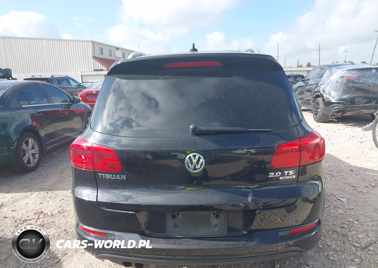 2015 Volkswagen Tiguan R-Line VIN:WVGBV7AX4FW099082 - 17