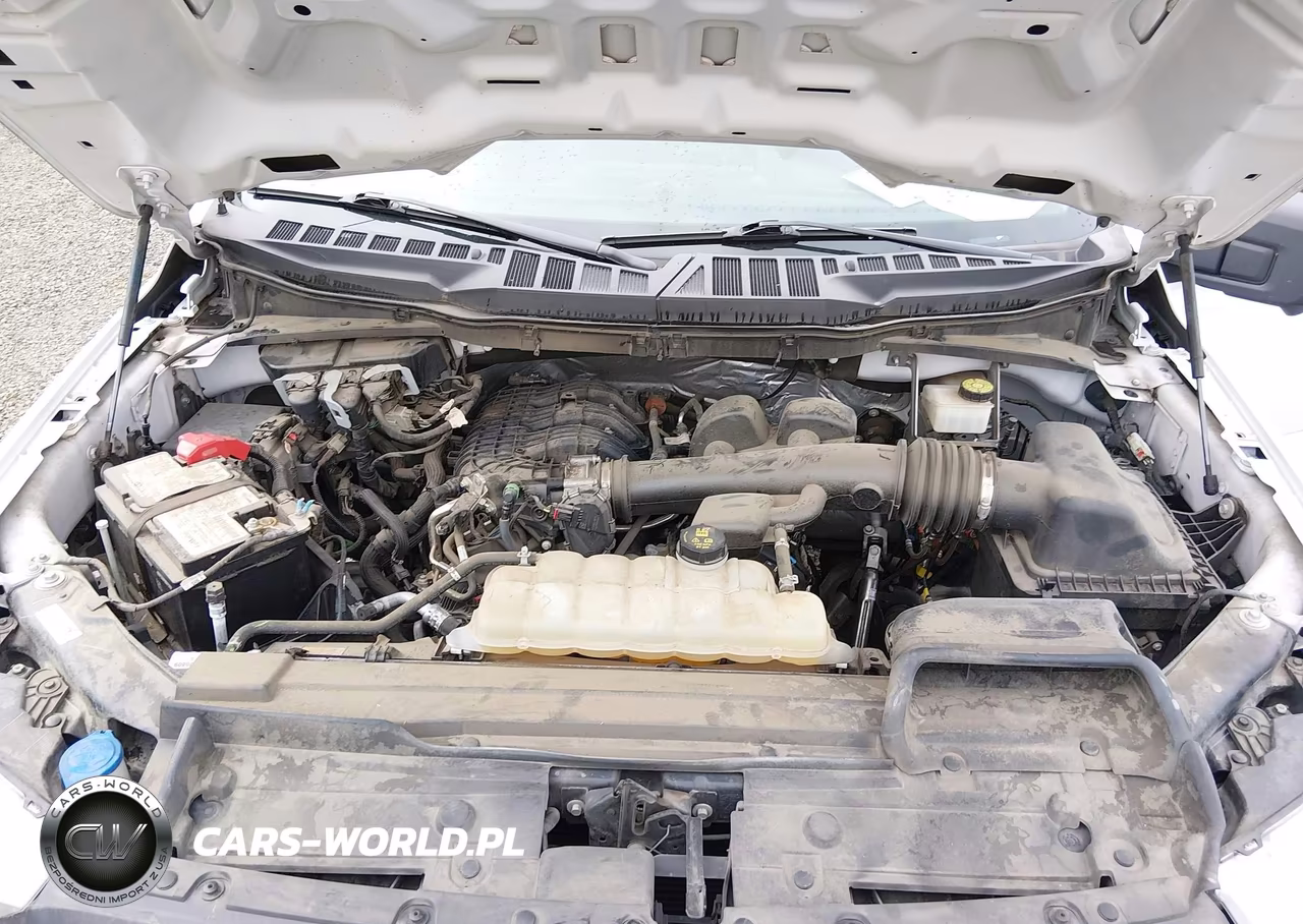 2021 Ford F-150 Xl VIN:1FTEW1EB3MFB38431 - 10