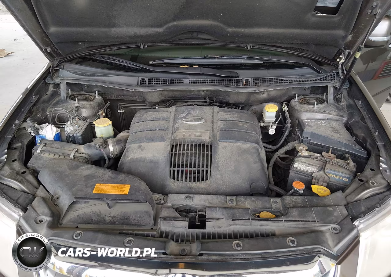 2009 Subaru Tribeca Limited 7-Passenger VIN:4S4WX90DX94402364 - 10