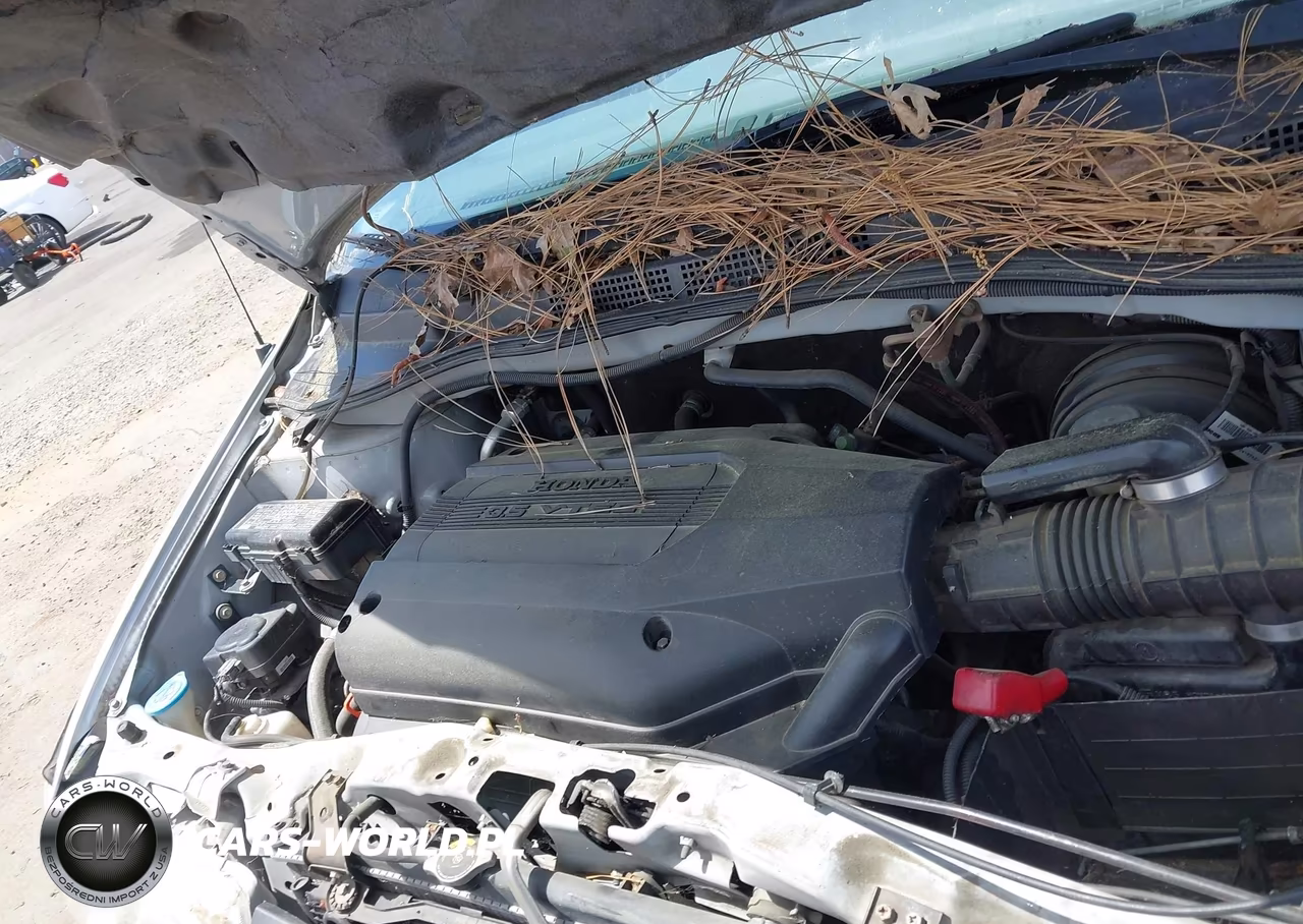 2002 Honda Odyssey Ex VIN:2HKRL18602H502283 - 10
