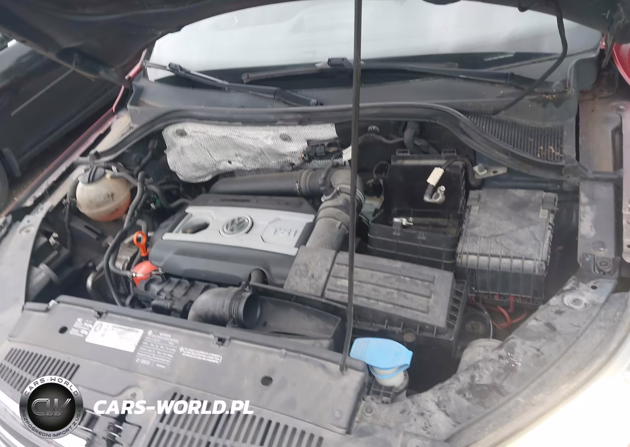2009 Volkswagen Tiguan Se VIN:WVGBV75N19W534458 - 10