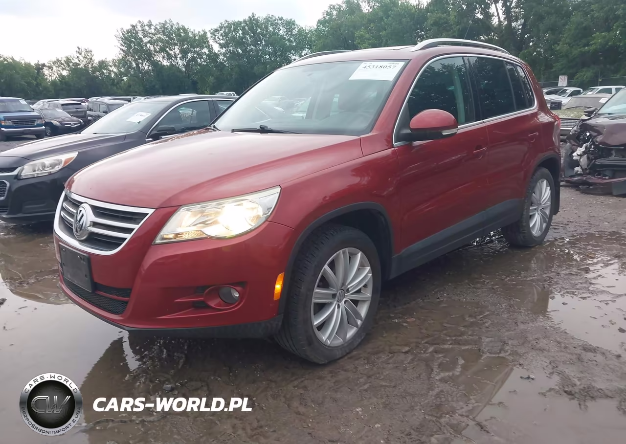 2009 Volkswagen Tiguan Se VIN:WVGBV75N19W534458 - 2