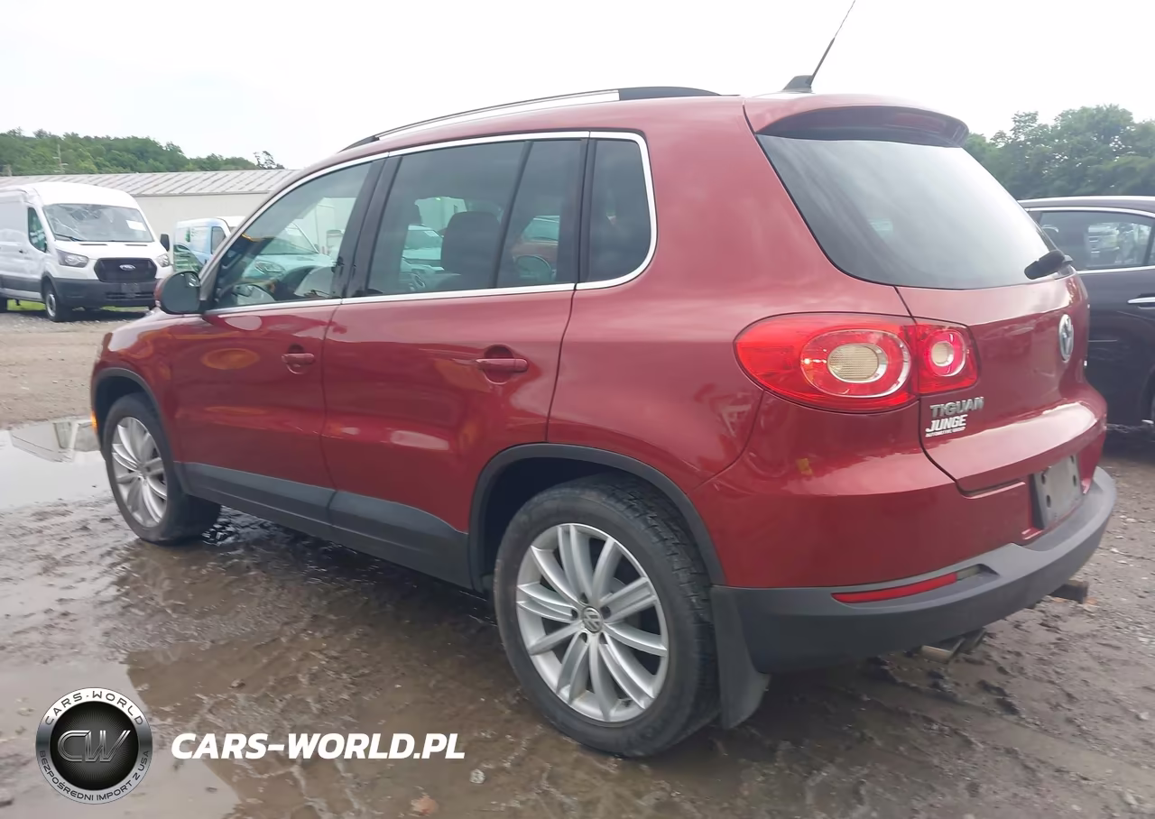 2009 Volkswagen Tiguan Se VIN:WVGBV75N19W534458 - 3