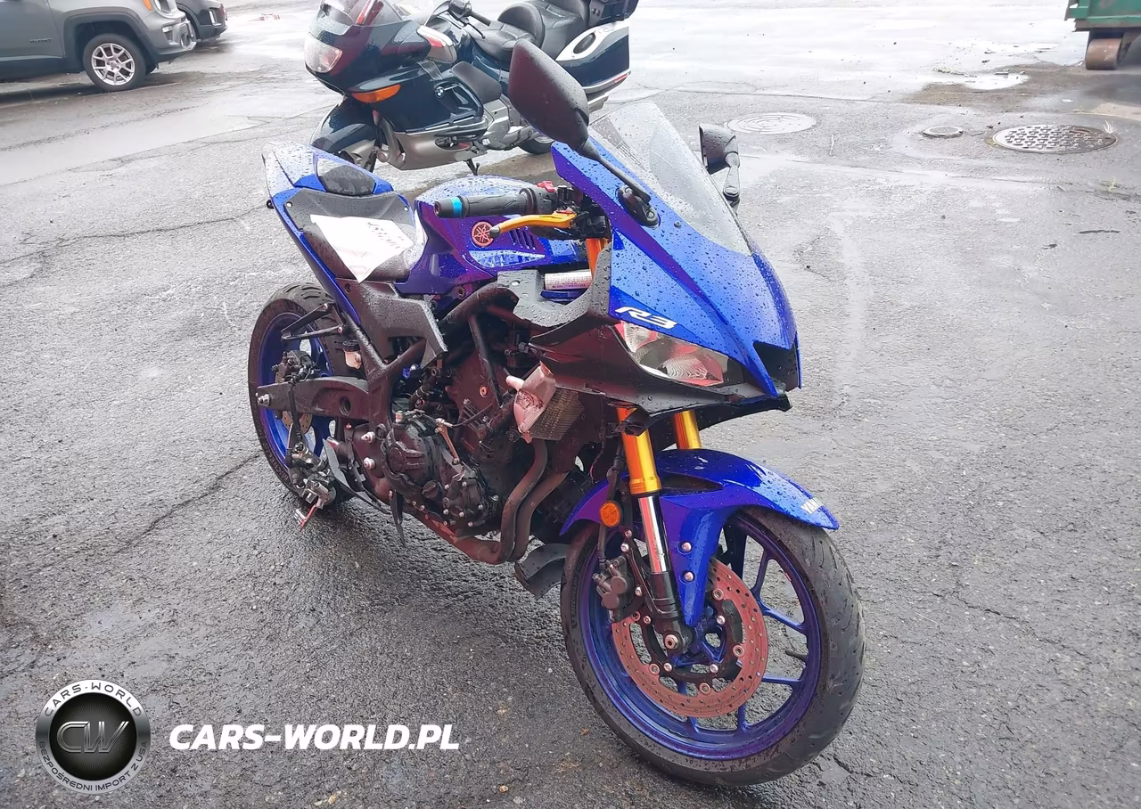 2019 Yamaha Yzfr3