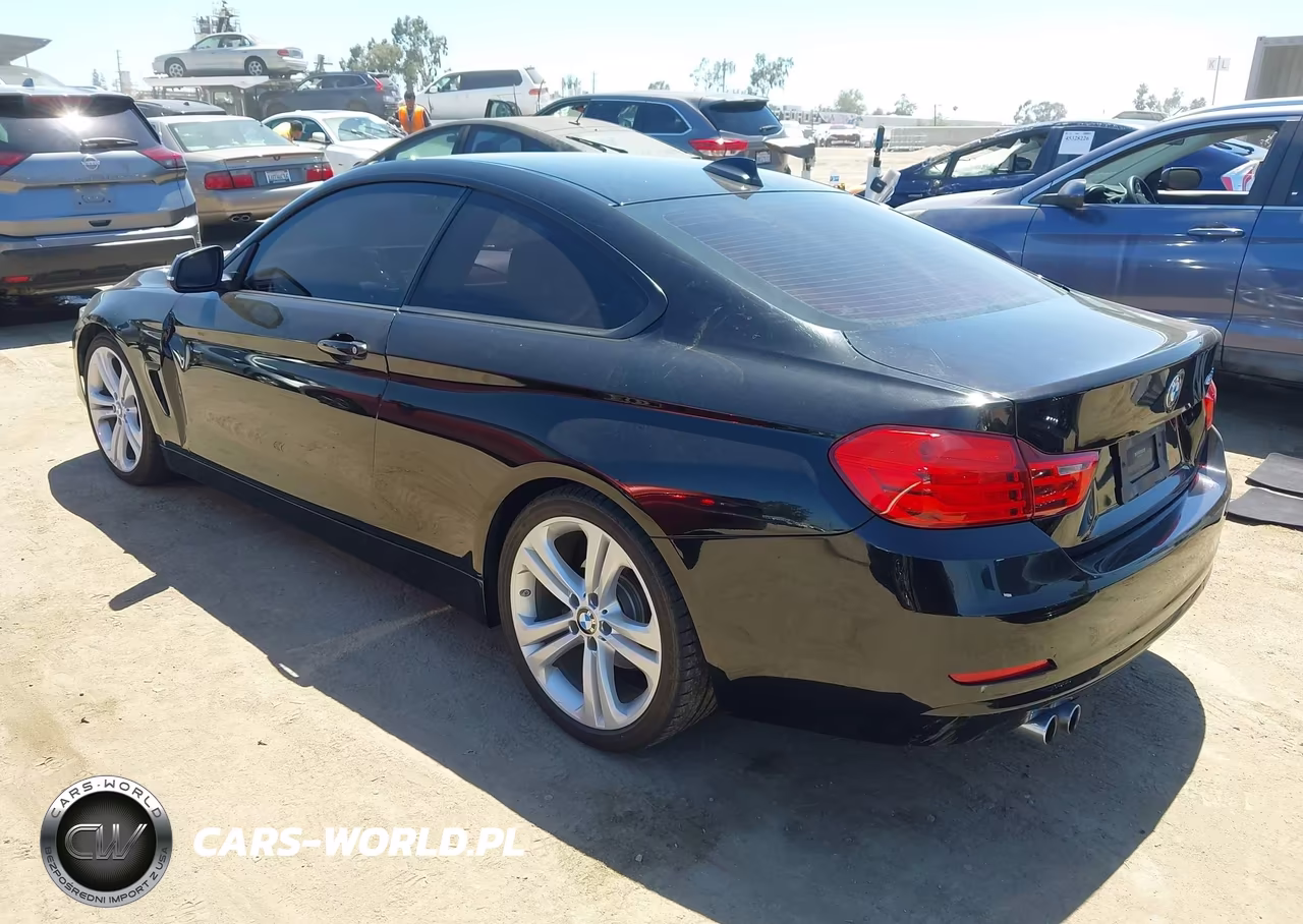 2014 BMW 428I VIN:WBA3N7C5XEK220110 - 3