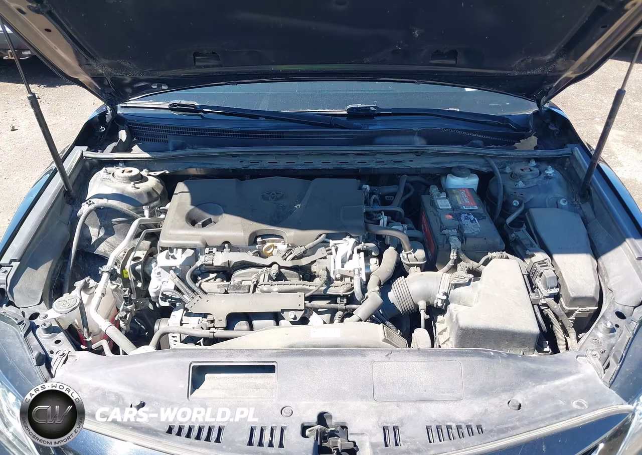 2019 Toyota Camry Xse VIN:4T1B61HK7KU768939 - 10