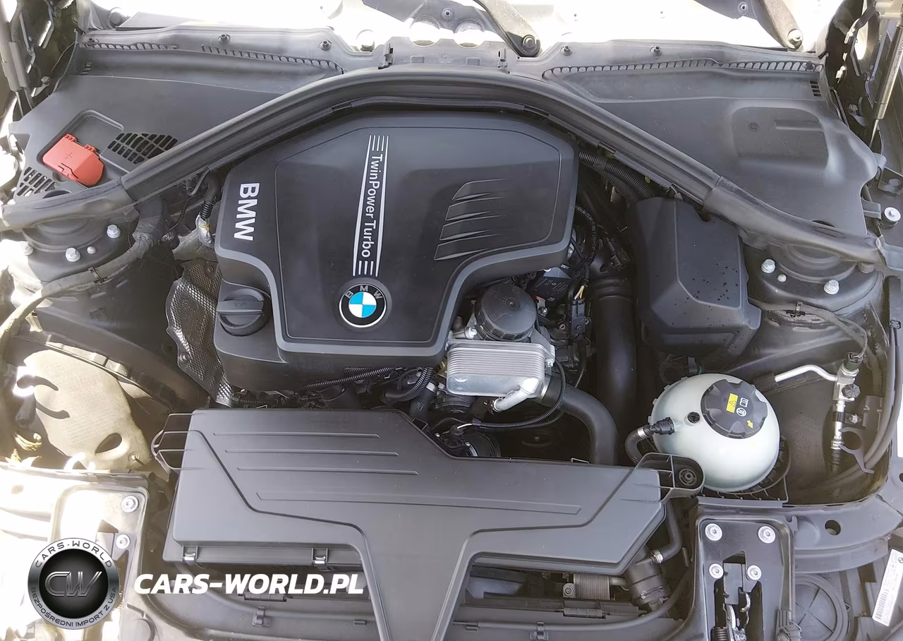 2015 BMW 320I VIN:WBA3B1C55FK141399 - 10