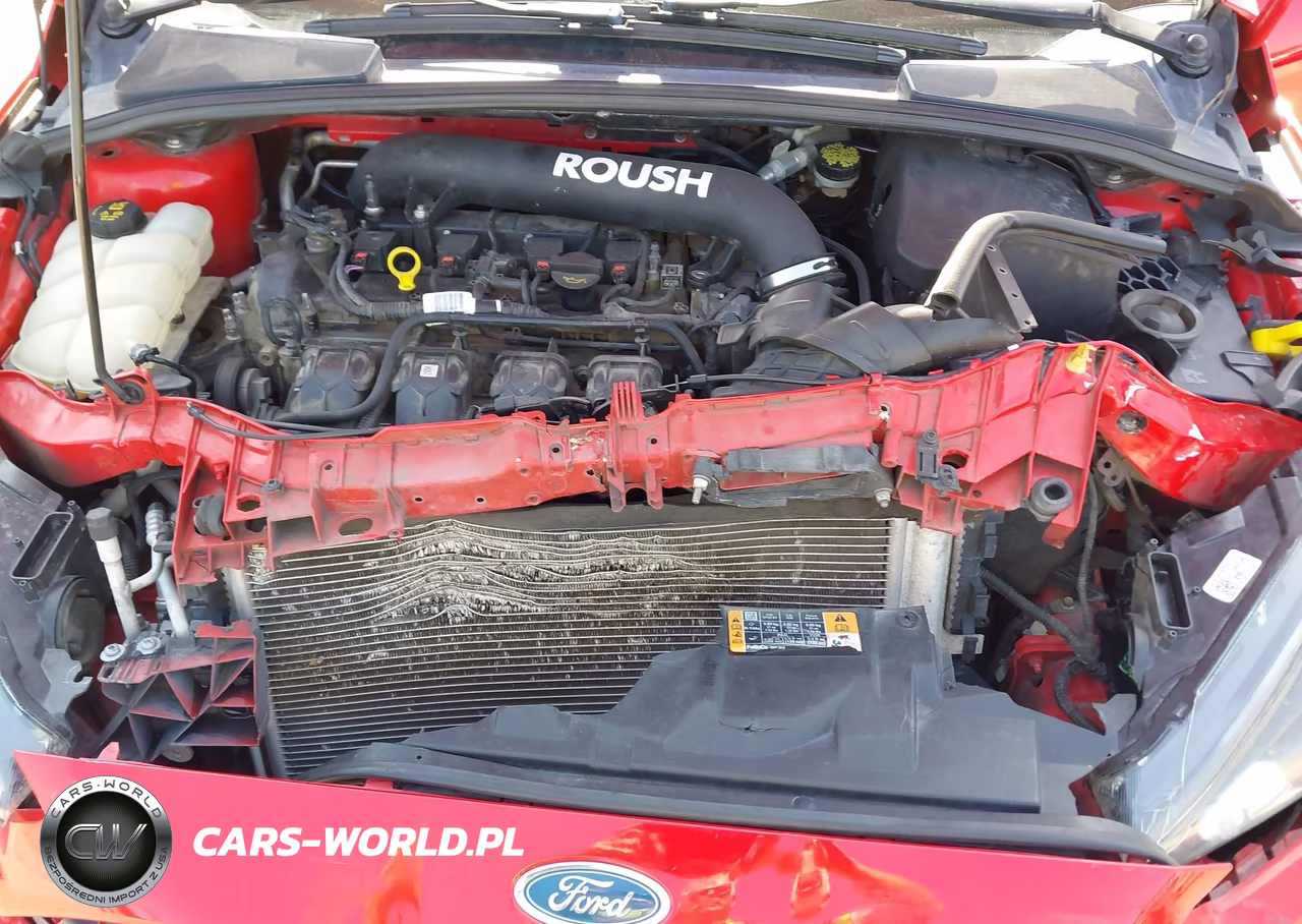 2015 Ford Focus St VIN:1FADP3L94FL246412 - 10