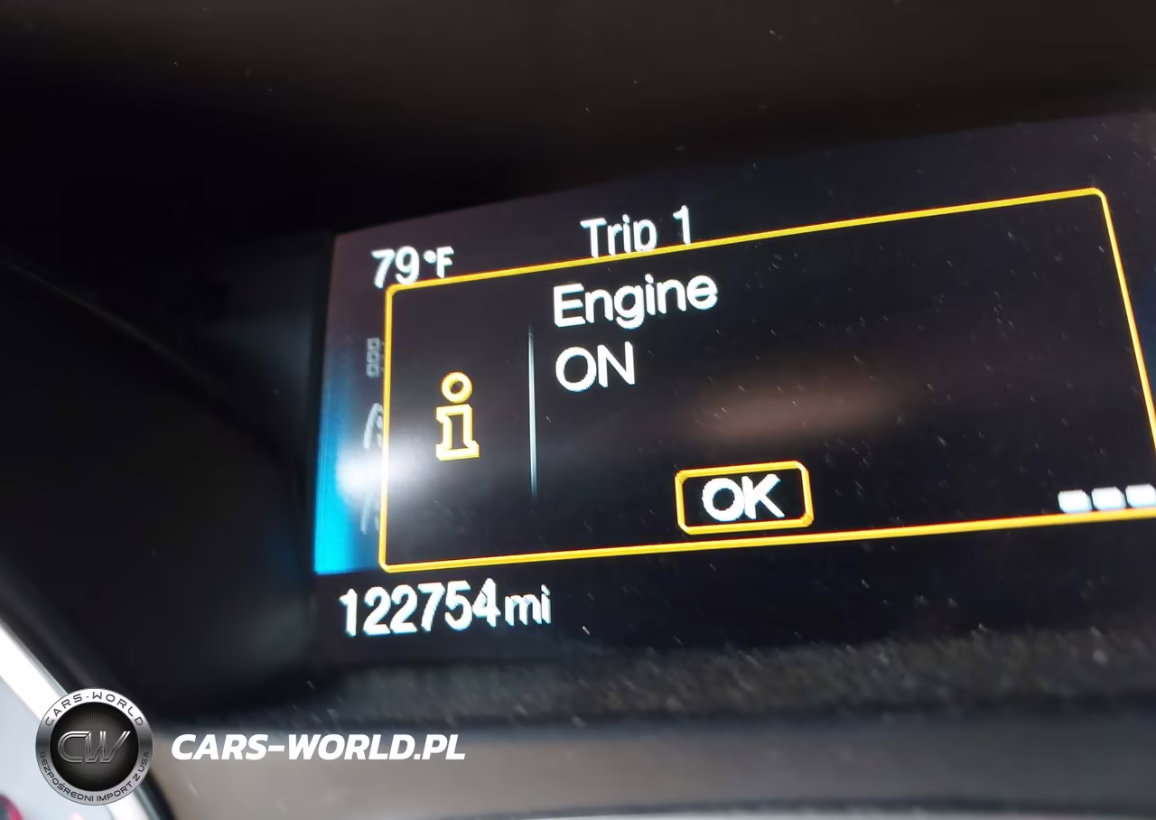 2015 Ford Focus St VIN:1FADP3L94FL246412 - 16