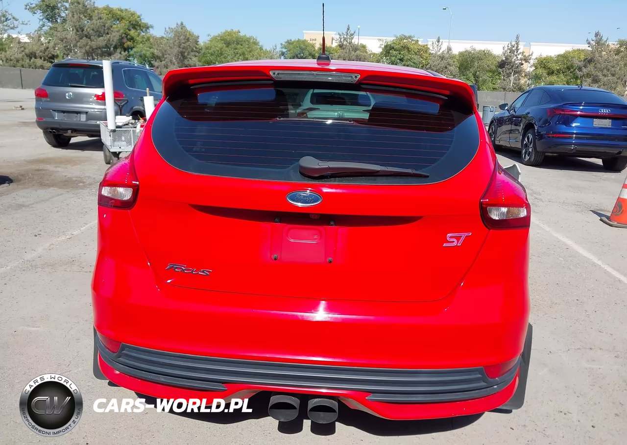 2015 Ford Focus St VIN:1FADP3L94FL246412 - 17
