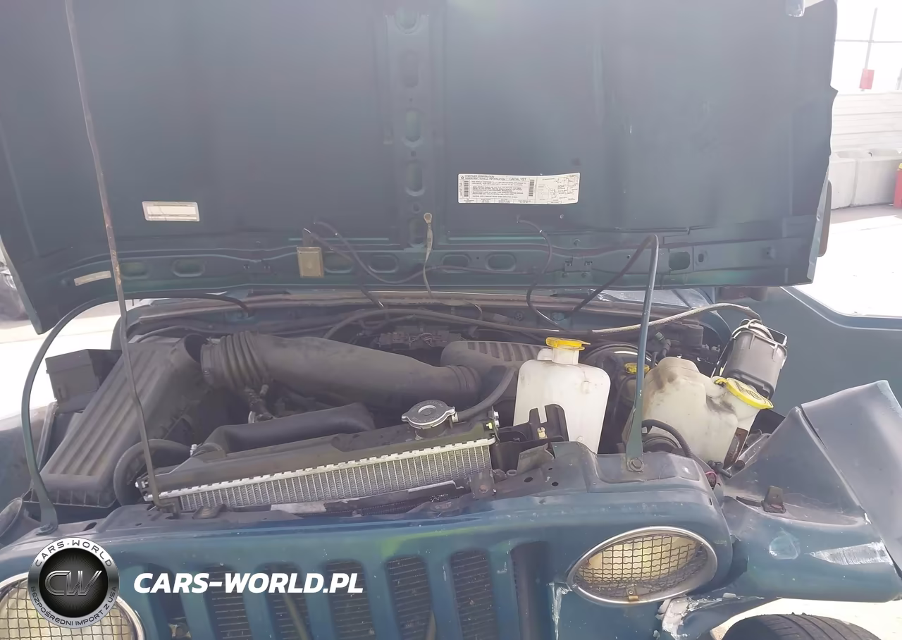 1998 Jeep Wrangler Se VIN:1J4FY29P9WP777429 - 10
