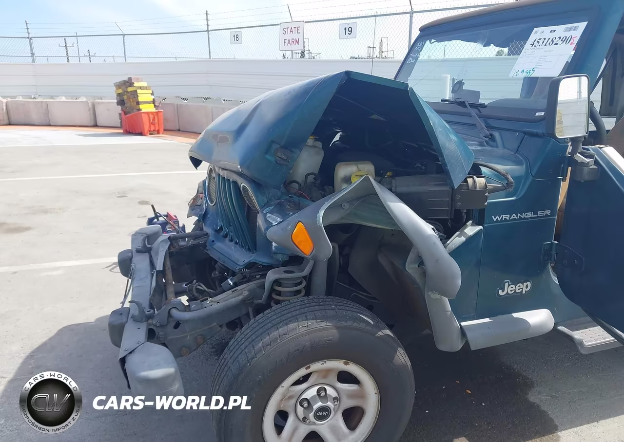 1998 Jeep Wrangler Se VIN:1J4FY29P9WP777429 - 12