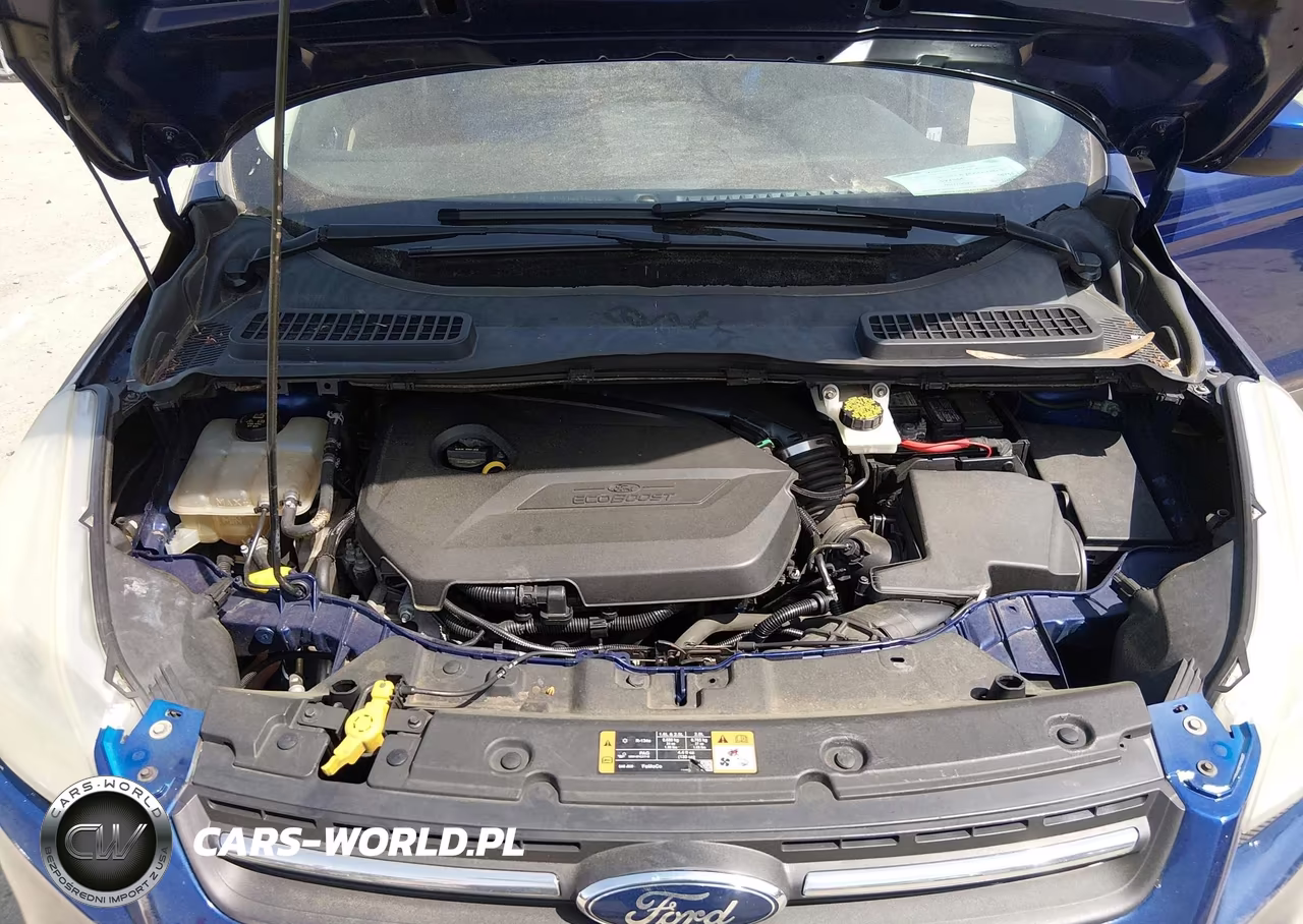 2014 Ford Escape Se VIN:1FMCU0GX0EUB38895 - 10