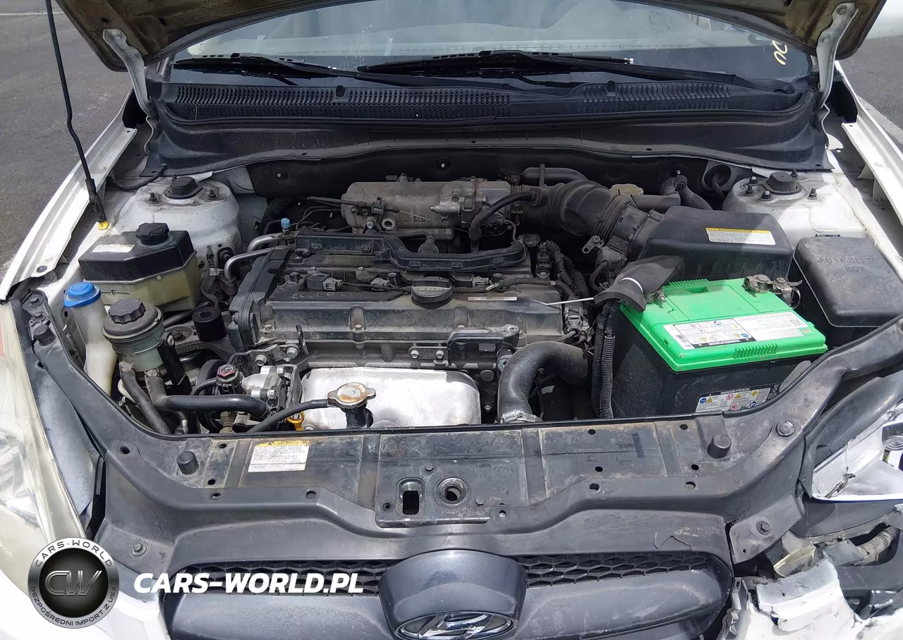 2006 Hyundai Accent Gls VIN:KMHCN46C26U060172 - 10