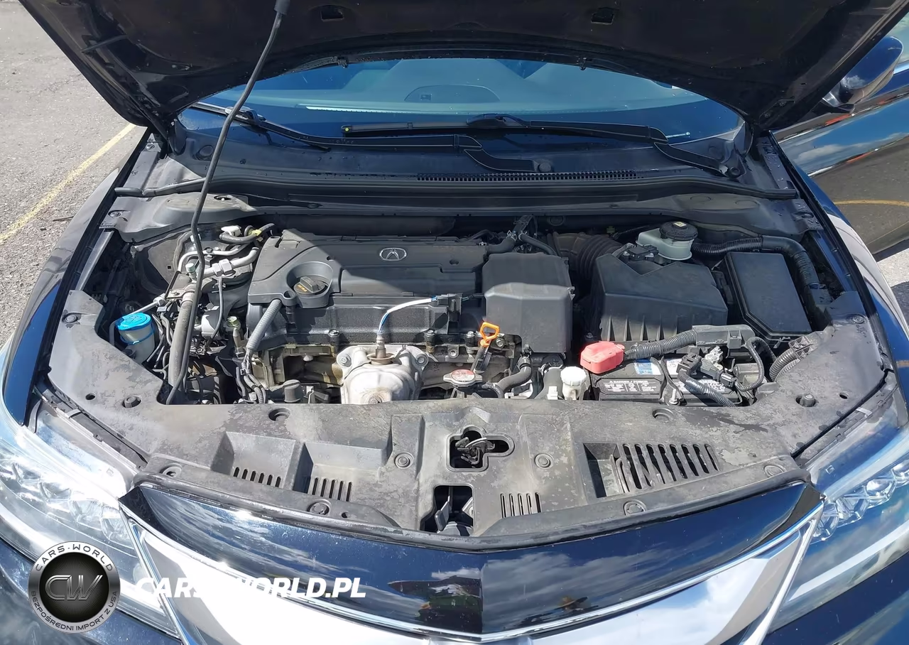2017 Acura Ilx Premium Package-Technology Plus Package VIN:19UDE2F70HA014250 - 10