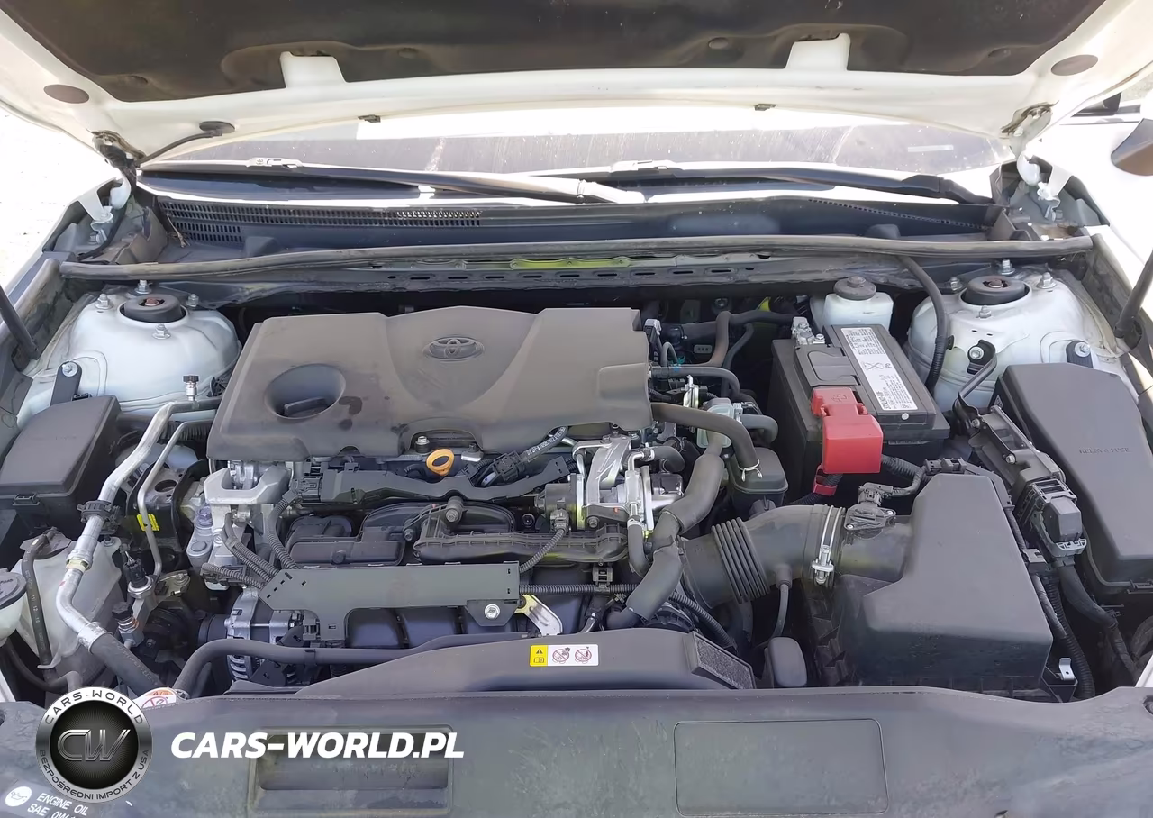 2019 Toyota Camry Xse VIN:4T1B61HK1KU835180 - 10