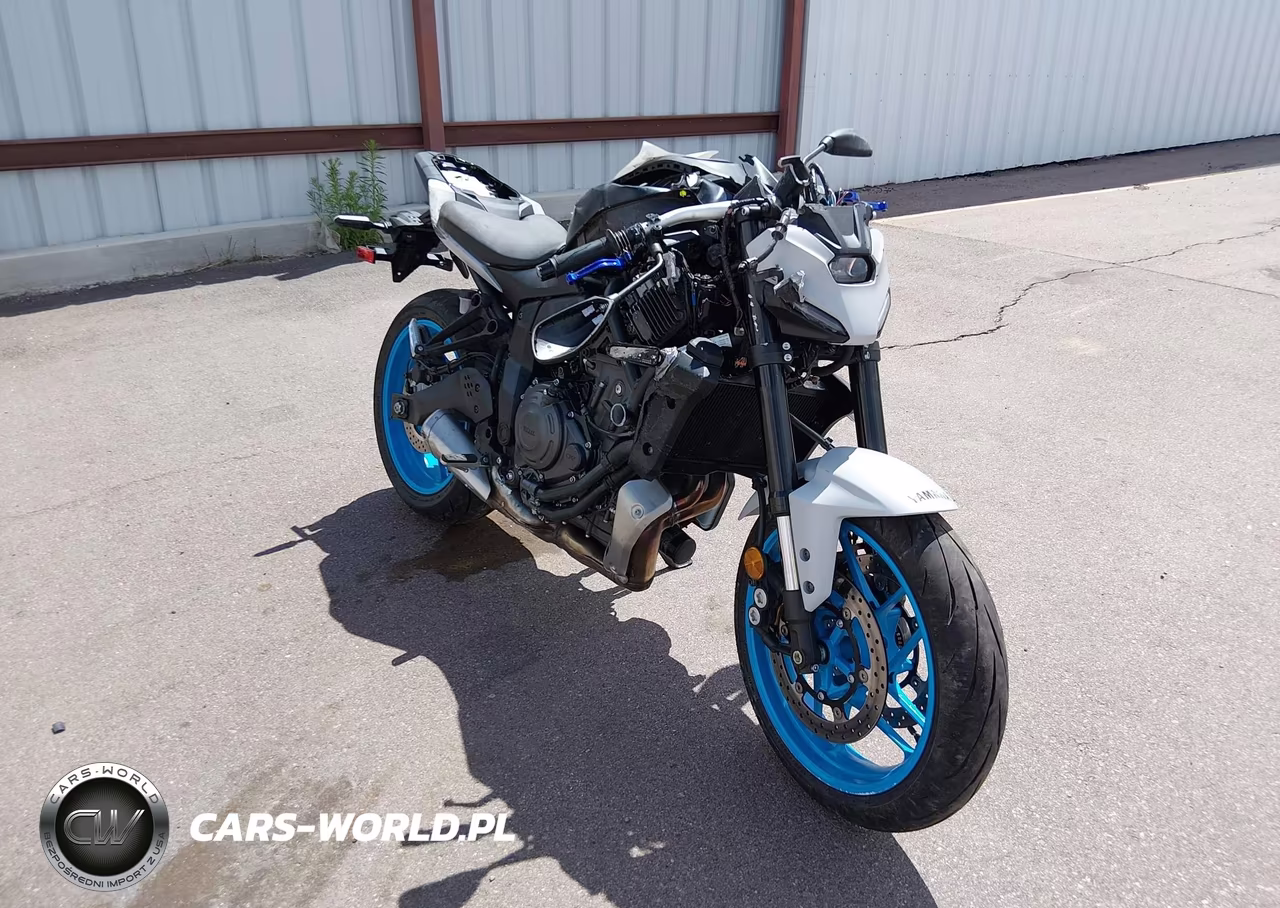 2025 Yamaha Mtn690 C