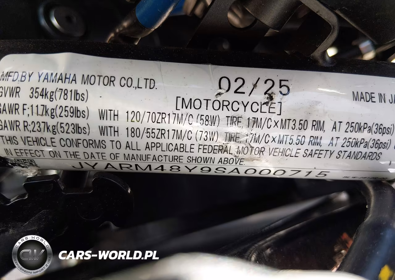 2025 Yamaha Mtn690 C VIN:JYARM48Y9SA000715 - 10