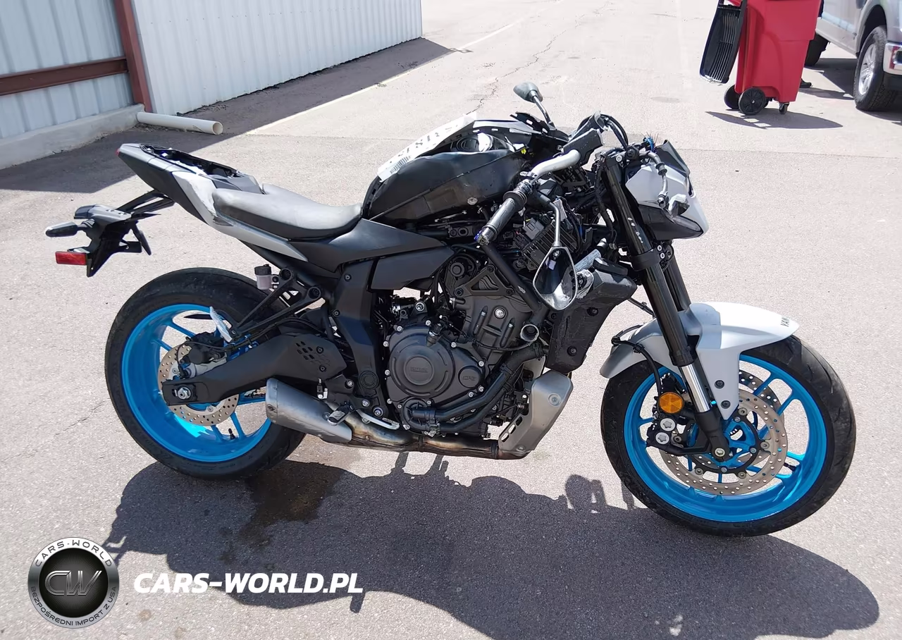 2025 Yamaha Mtn690 C VIN:JYARM48Y9SA000715 - 12