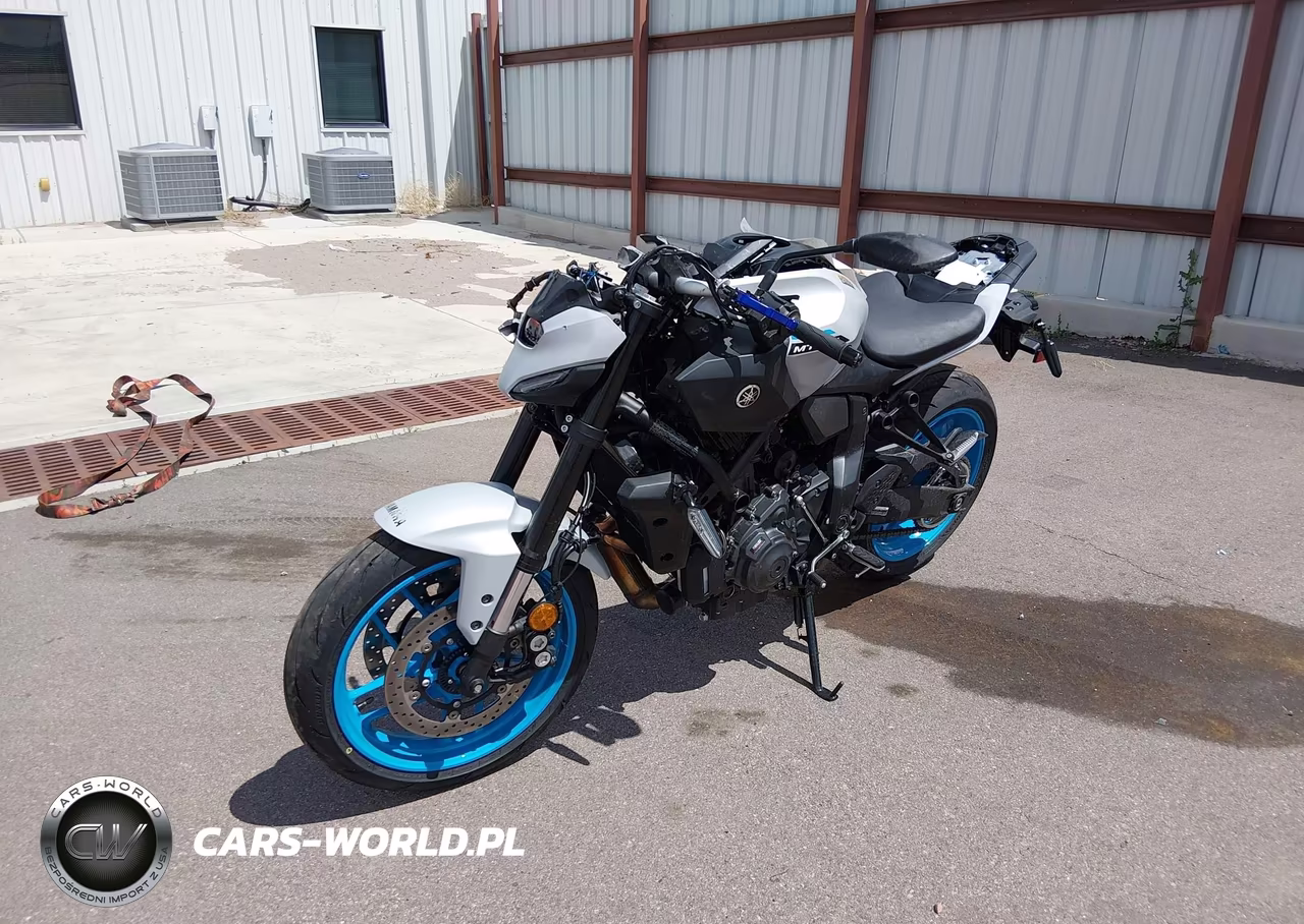 2025 Yamaha Mtn690 C VIN:JYARM48Y9SA000715 - 2