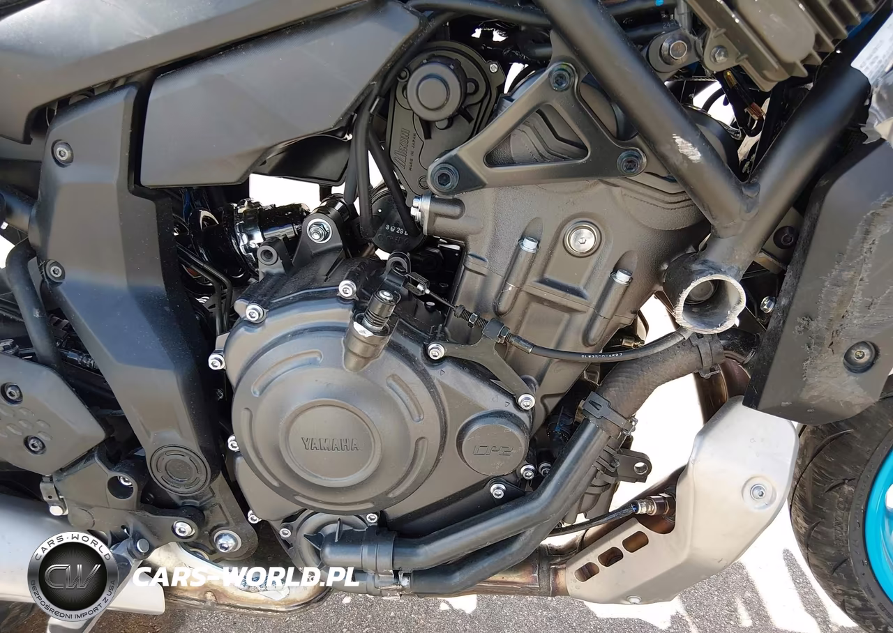 2025 Yamaha Mtn690 C VIN:JYARM48Y9SA000715 - 8