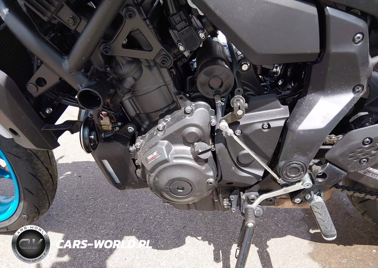 2025 Yamaha Mtn690 C VIN:JYARM48Y9SA000715 - 9