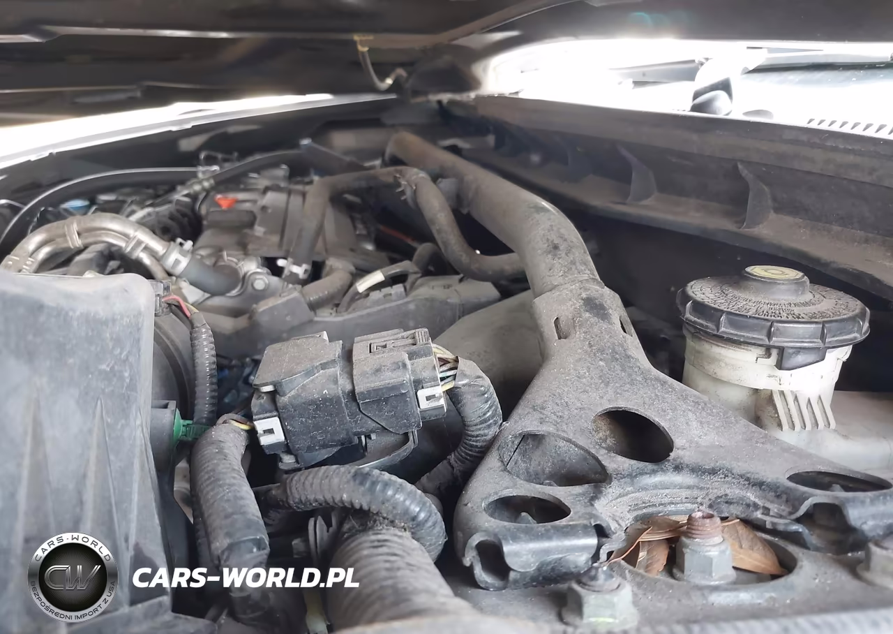 2010 Honda Accord 2.4 Ex-L VIN:1HGCS1B83AA006954 - 10