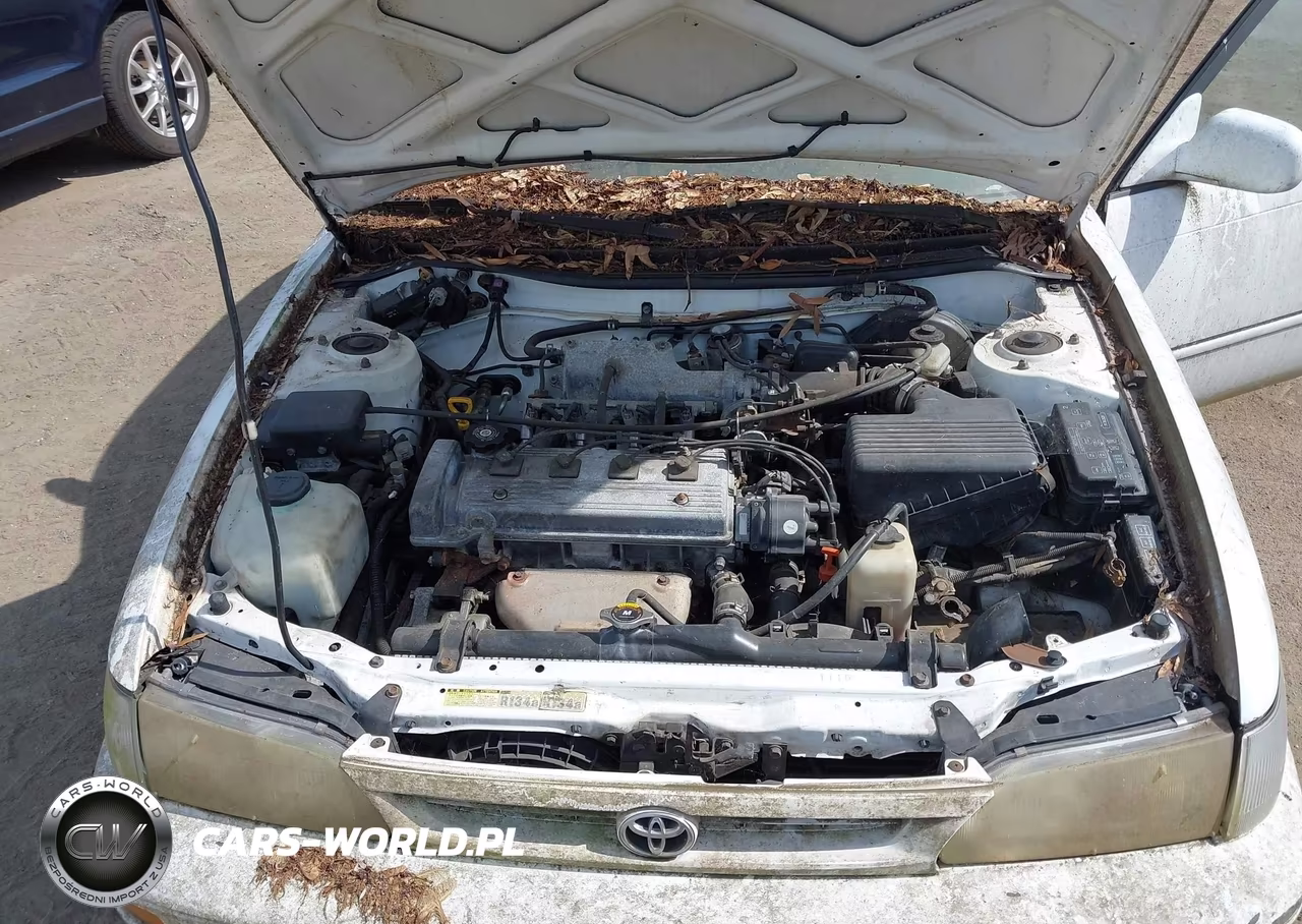 1997 Toyota Corolla Dx VIN:1NXBB02E2VZ541719 - 10