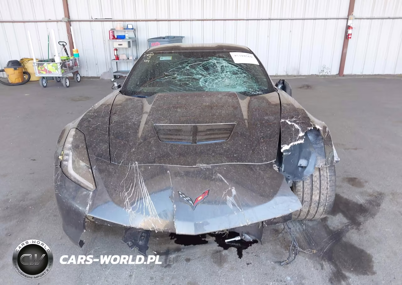 2019 Chevrolet Corvette Z06 VIN:1G1YU2D60K5602042 - 13