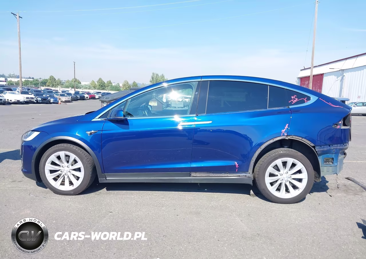 2018 Tesla Model X 100D-75D-P100D VIN:5YJXCDE20JF114123 - 15