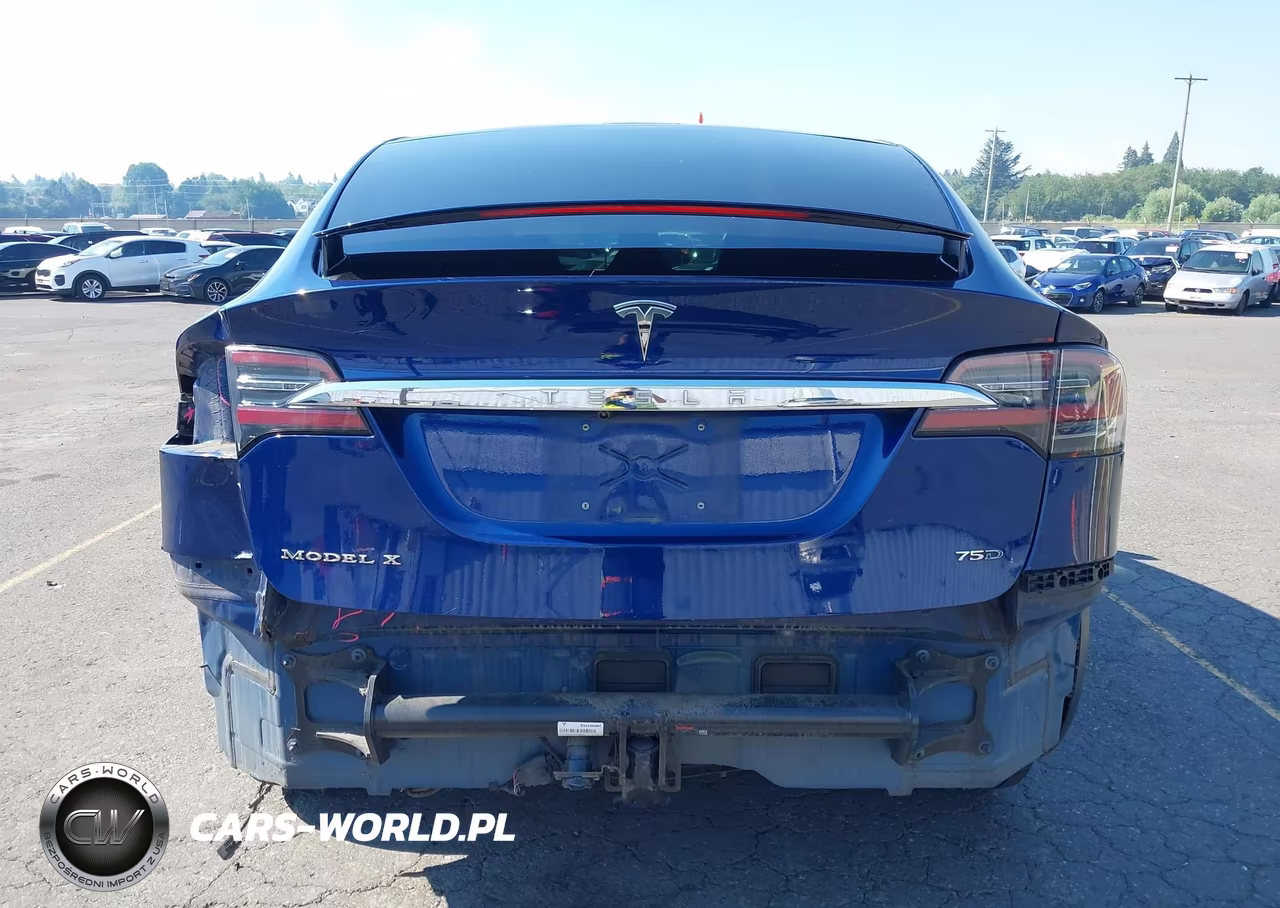 2018 Tesla Model X 100D-75D-P100D VIN:5YJXCDE20JF114123 - 17