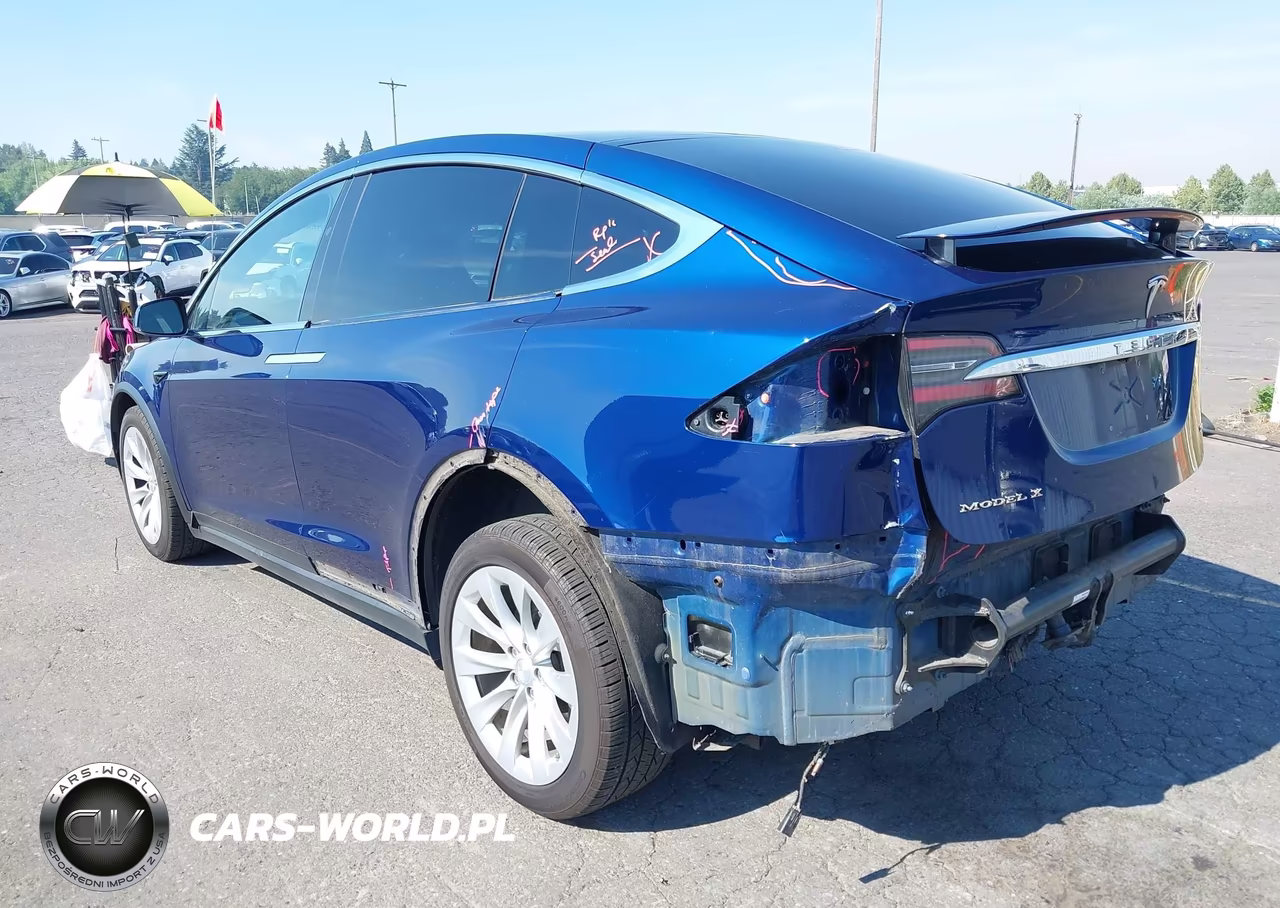2018 Tesla Model X 100D-75D-P100D VIN:5YJXCDE20JF114123 - 3