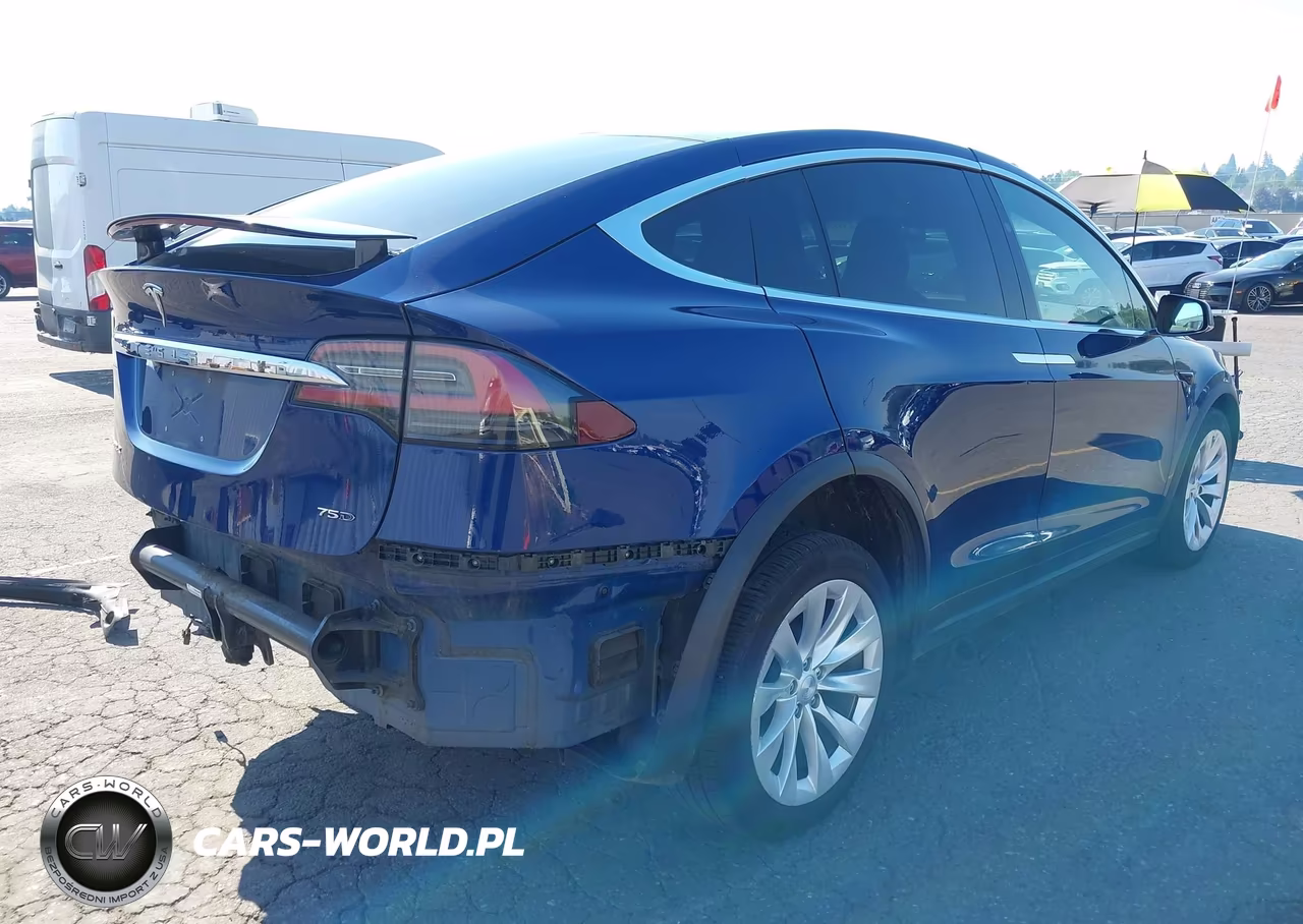 2018 Tesla Model X 100D-75D-P100D VIN:5YJXCDE20JF114123 - 4