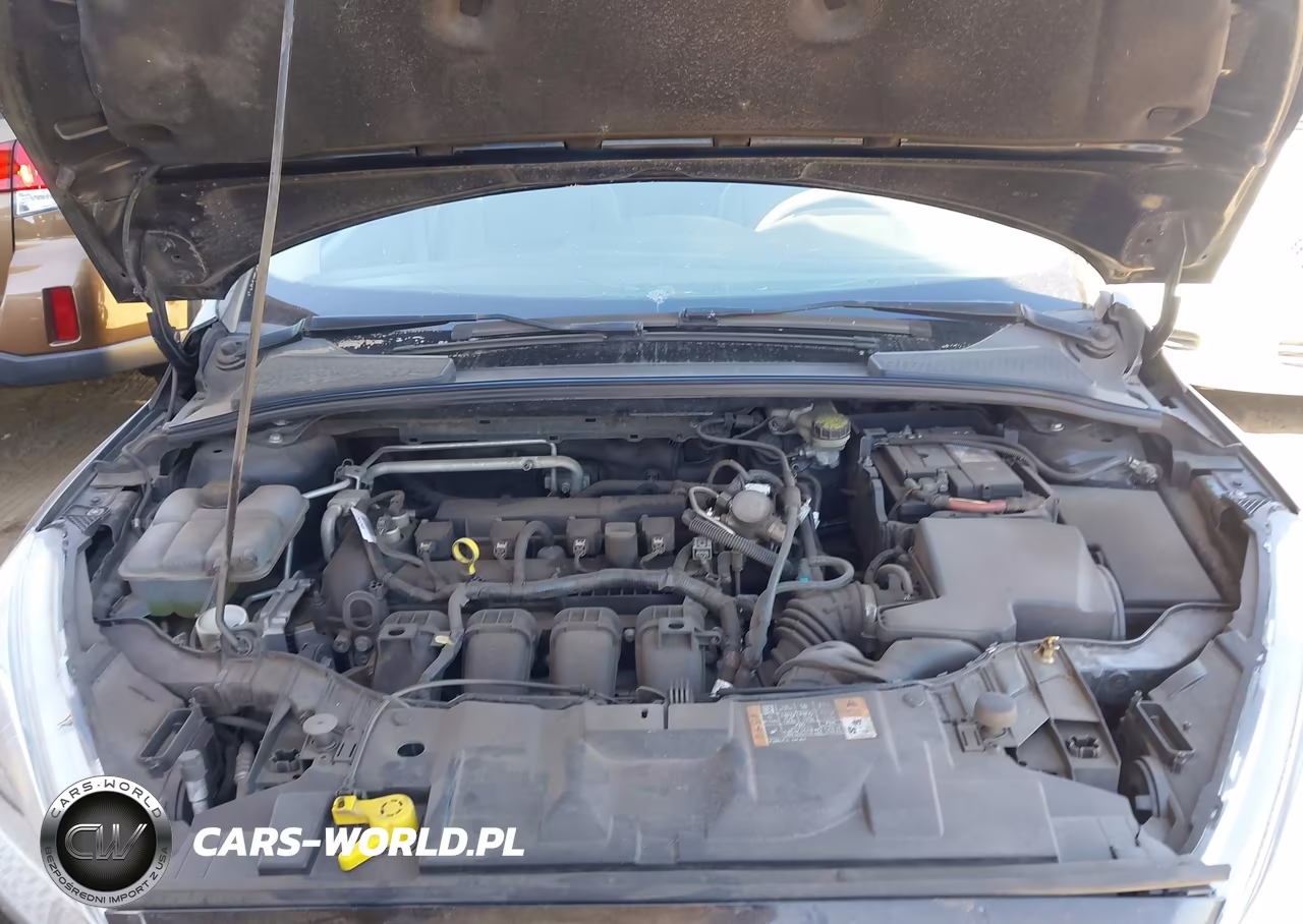2016 Ford Focus Se VIN:1FADP3K24GL345494 - 10