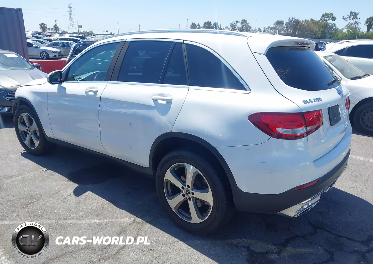 2017 Mercedes-Benz Glc 300 VIN:WDC0G4JB7HF247621 - 3