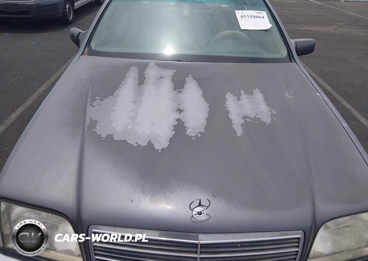 1995 Mercedes-Benz S 320W VIN:WDBGA32E0SA250341 - 10